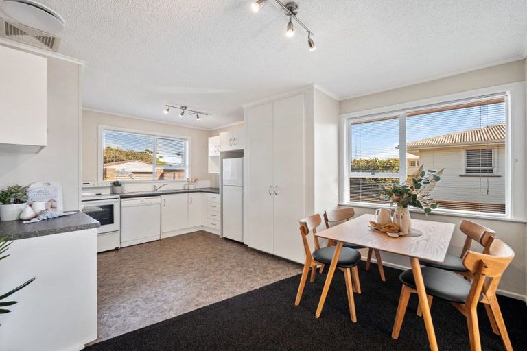 Photo of property in 14 Lodge Avenue, Mount Maunganui, 3116