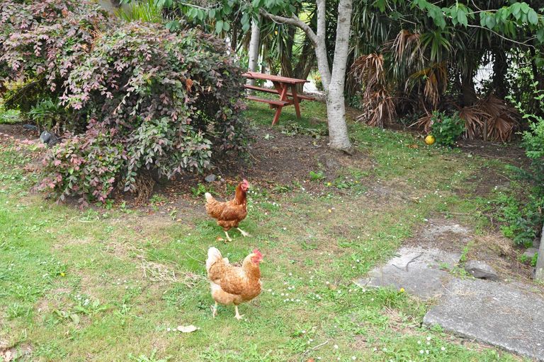 Photo of property in 11 Bellevue Avenue, Wellsford, 0900