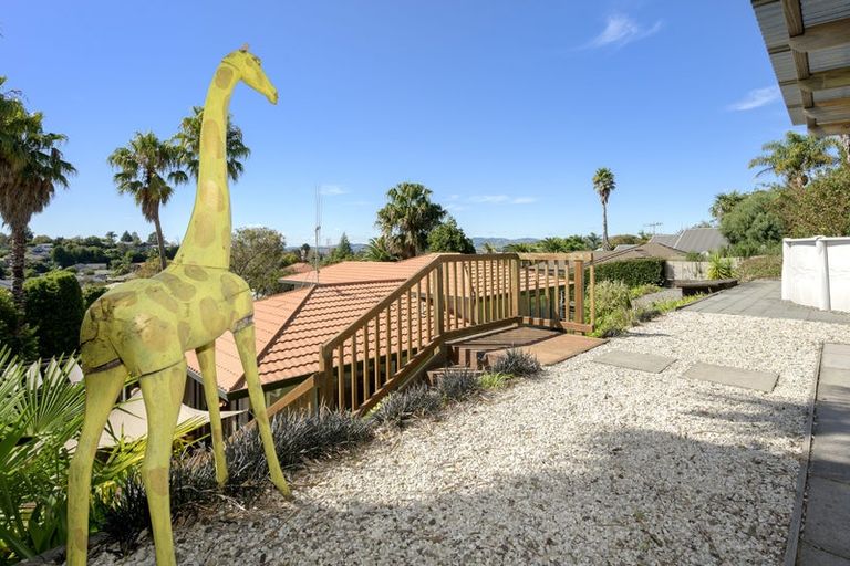 Photo of property in 43 Highgrove Place, Bethlehem, Tauranga, 3110