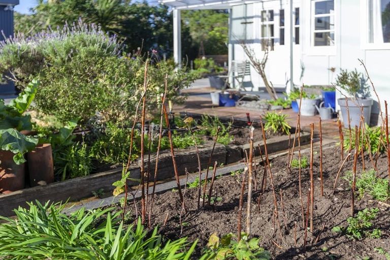 Photo of property in 56 Poplar Avenue, Raumati South, Paraparaumu, 5032