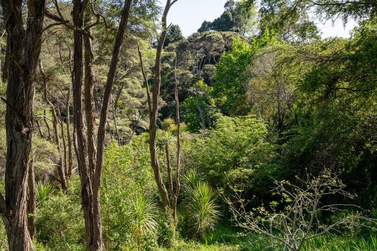 Photo of property in 6 Main Road, Raglan, 3225