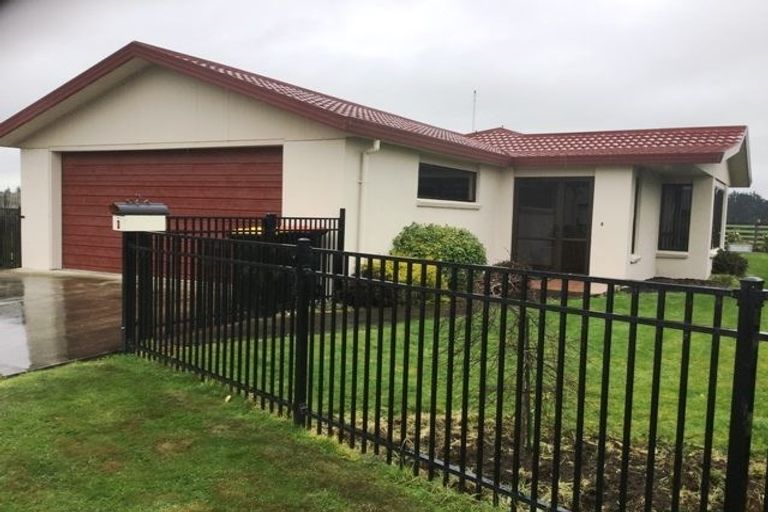 Photo of property in 8 Daley Place, Winton, 9720