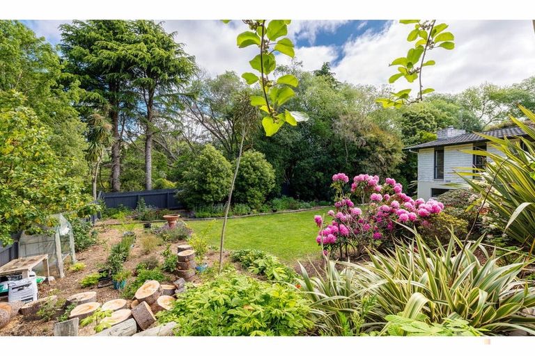 Photo of property in 11-17 Hayes Street, Waimate, 7924