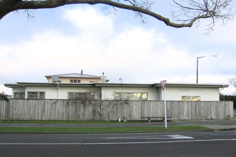 Photo of property in 87 Guy Avenue, Takaro, Palmerston North, 4410