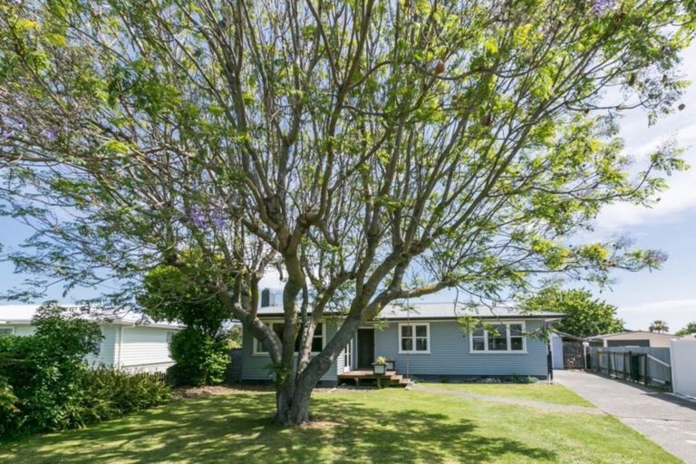 Photo of property in 87 Coverdale Street, Onekawa, Napier, 4110
