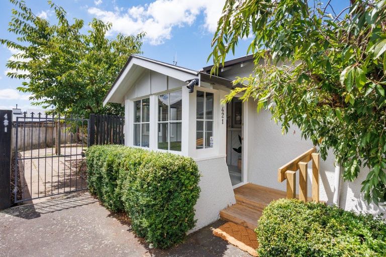 Photo of property in 421 Ruahine Street, Terrace End, Palmerston North, 4410