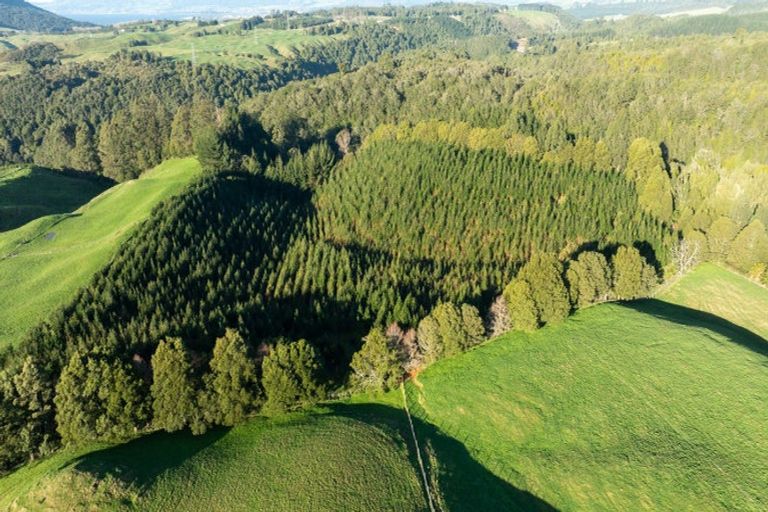 Photo of property in 271 Endean Road, Ngongotaha Valley, Rotorua, 3072