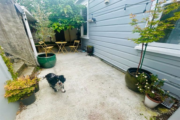 Photo of property in 6 Jeypore Street, Berhampore, Wellington, 6023