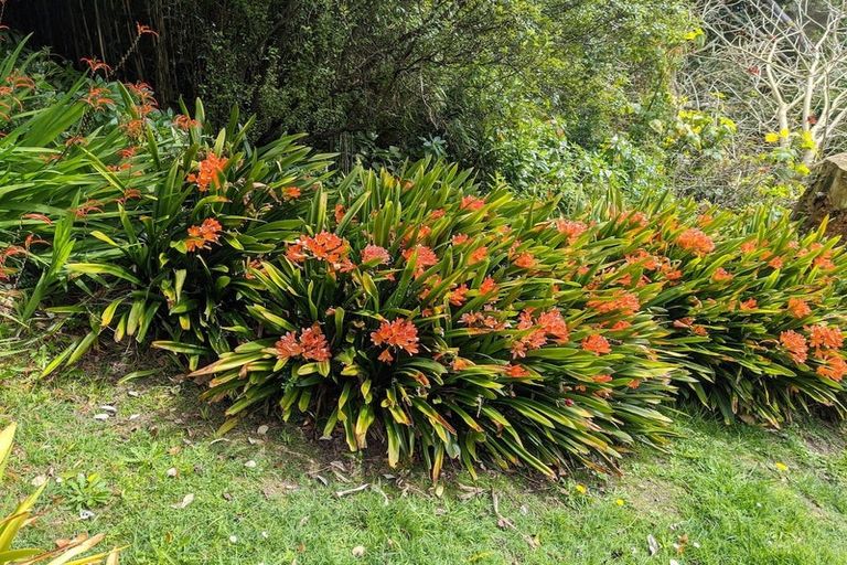 Photo of property in 90 Exmouth Road, Northcote, Auckland, 0627