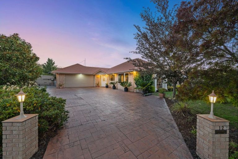 Photo of property in 12 Elmwood Avenue, Witherlea, Blenheim, 7201