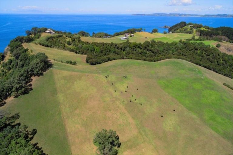 Photo of property in 100 Omaha Block Access Road, Leigh, 0985