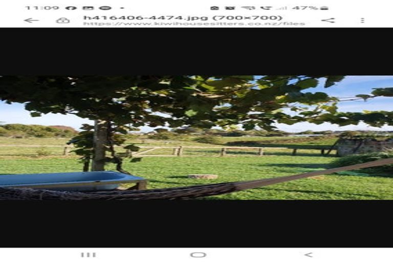 Photo of property in 1672 Churchill Road, Pukekawa, Tuakau, 2696