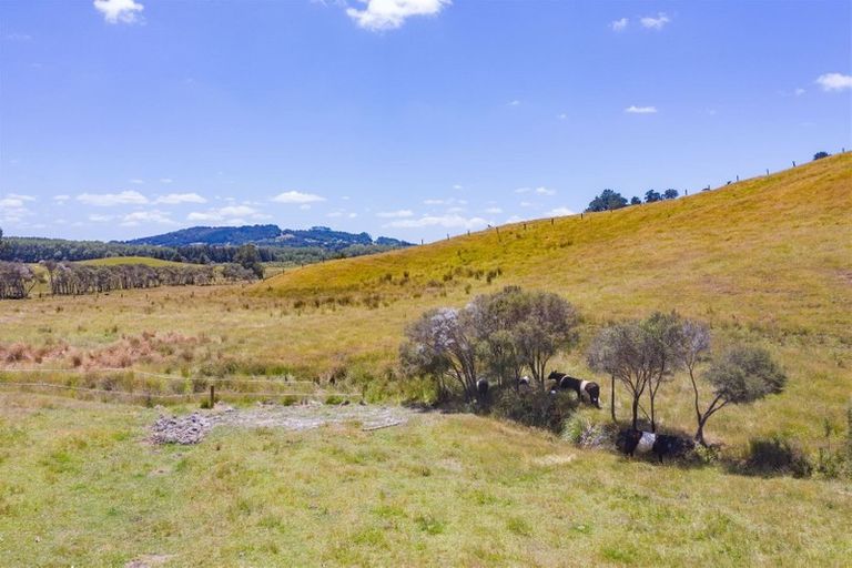 Photo of property in 113c Marua Road, Hikurangi, 0181