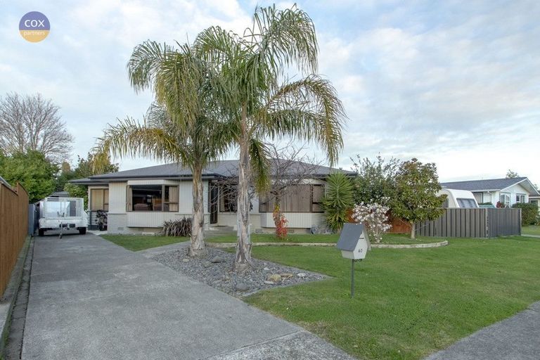 Photo of property in 40 Holyrood Street, Taradale, Napier, 4112