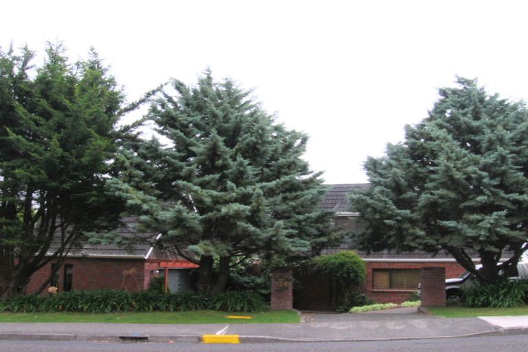 Photo of property in 124 Winara Avenue, Waikanae, 5036