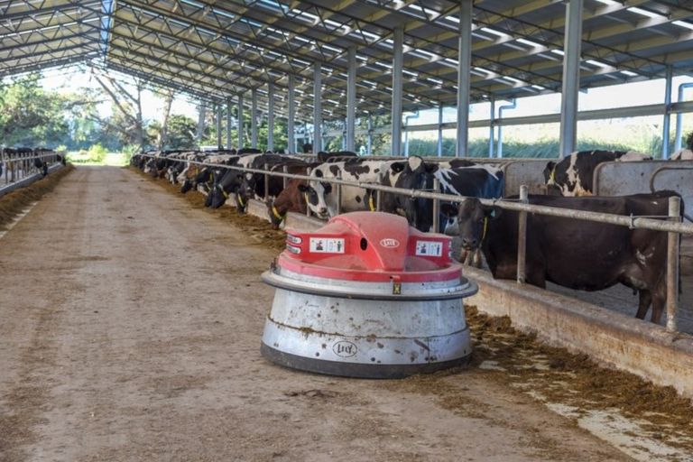 Photo of property in 939 Hudsons Road, Motukarara, Tai Tapu, 7674