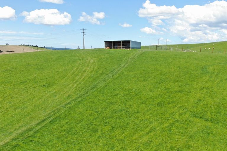 Photo of property in 7 Clarks Flat Road, Lawrence, 9593