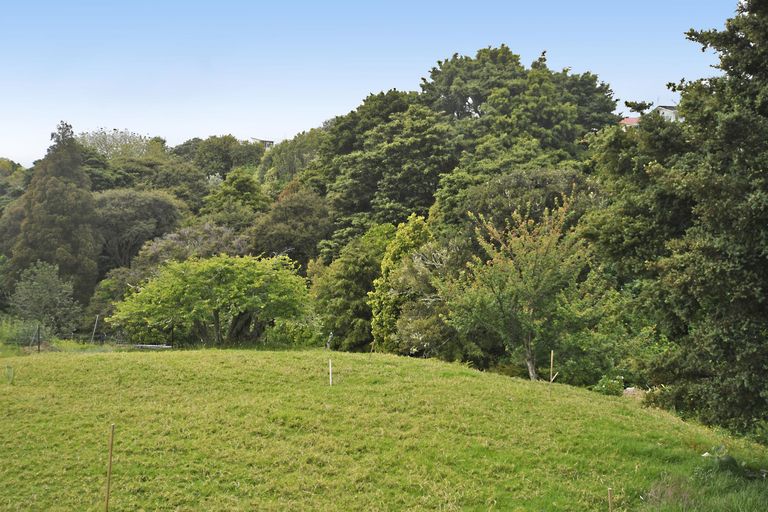 Photo of property in 55 Hauraki Road, Leigh, Warkworth, 0985