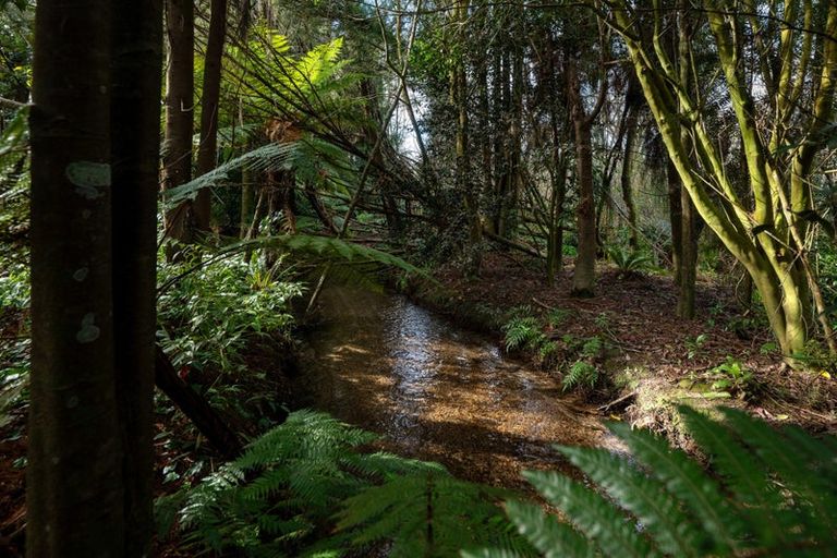 Photo of property in 41 Waikuta Road, Ngongotaha, Rotorua, 3010