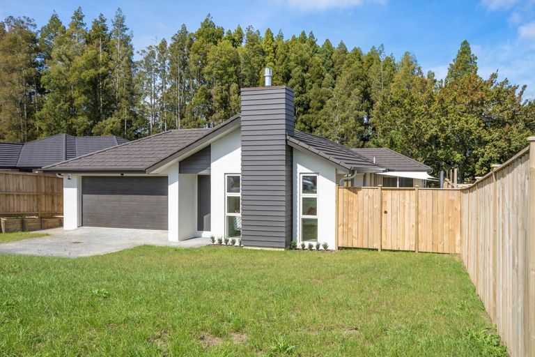 Photo of property in 14 Lisle Farm Drive, Pukekohe, 2120