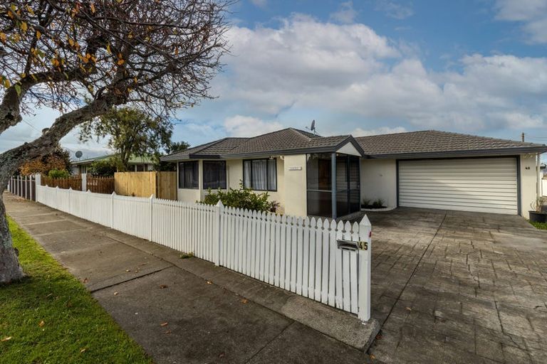 Photo of property in 45 Weld Street, Redwoodtown, Blenheim, 7201