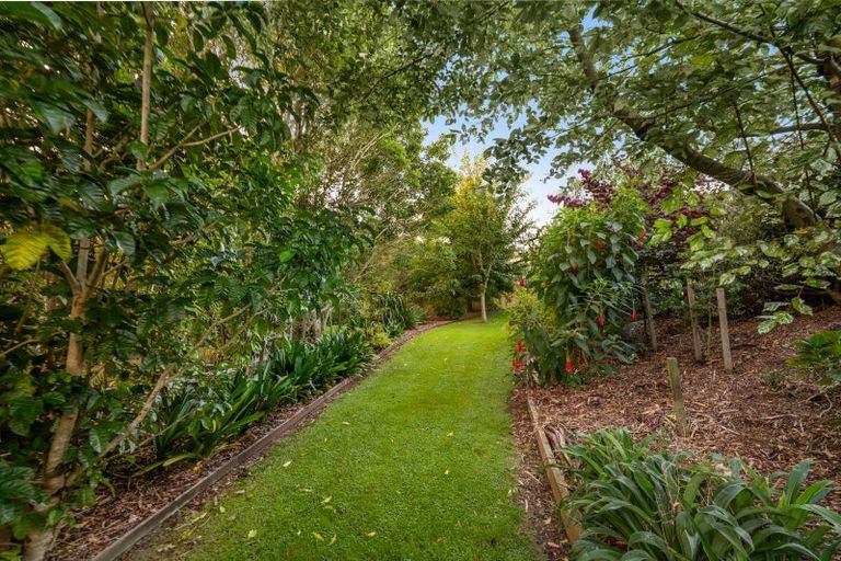 Photo of property in 7b Ridge View Place, Waihi, 3610