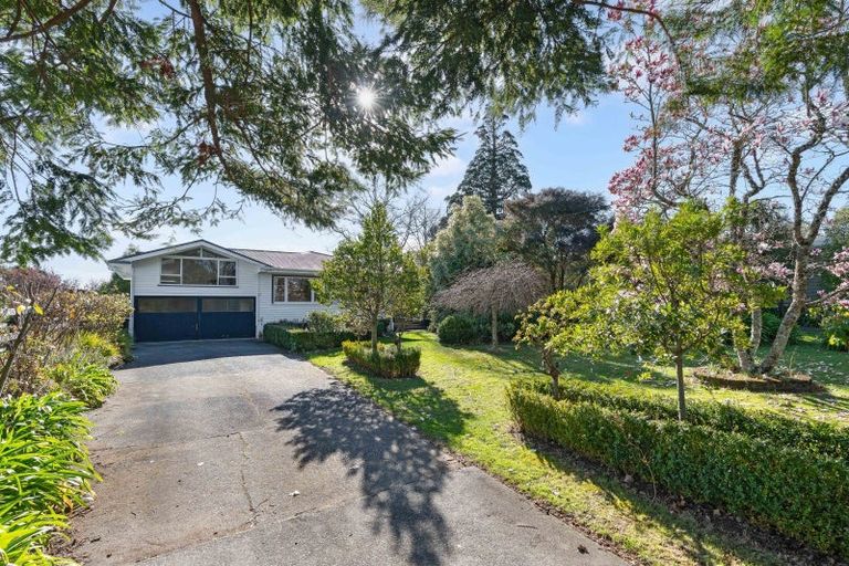 Photo of property in 43 Titoki Street, Lansdowne, Masterton, 5810