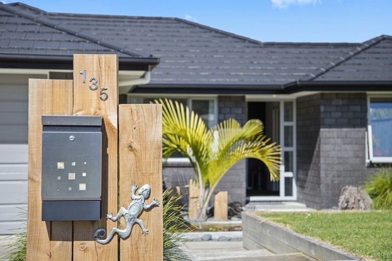 Photo of property in 135 Hillpark Drive, Pokeno, 2402