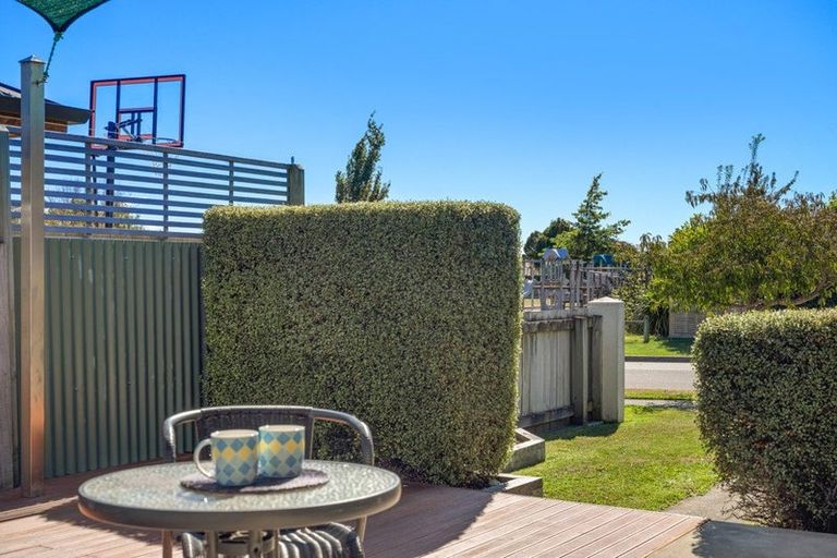 Photo of property in 8 Lester Place, Witherlea, Blenheim, 7201