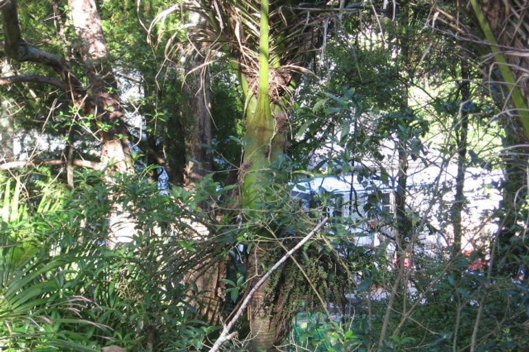 Photo of property in 82 Laingholm Drive, Laingholm, Auckland, 0604