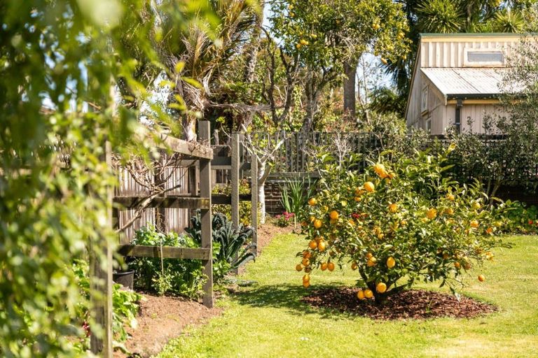 Photo of property in 51 Poland Street, Waikino, Waihi, 3682