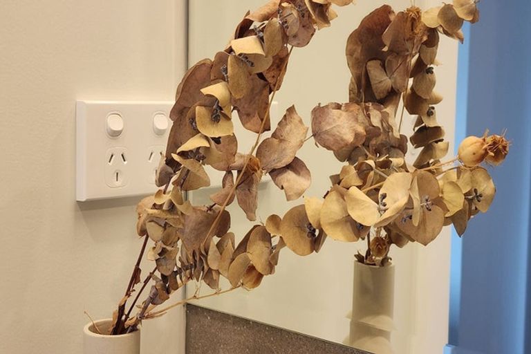 Photo of property in 24c Hayes Avenue, Gate Pa, Tauranga, 3112