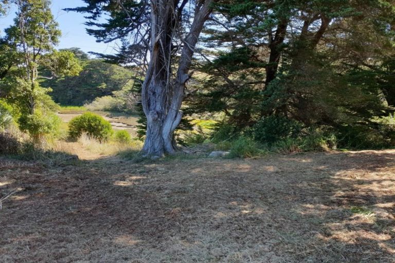 Photo of property in 996 Te Papatapu Road, Raglan, 3894