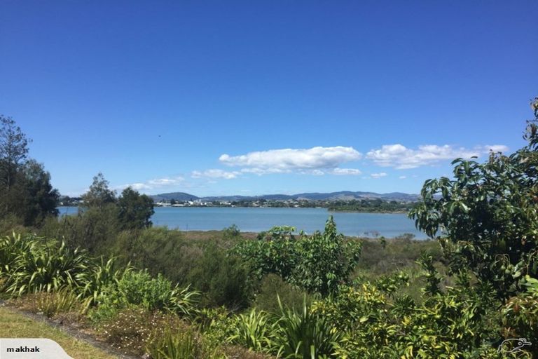 Photo of property in 18 Coach Drive, Otumoetai, Tauranga, 3110