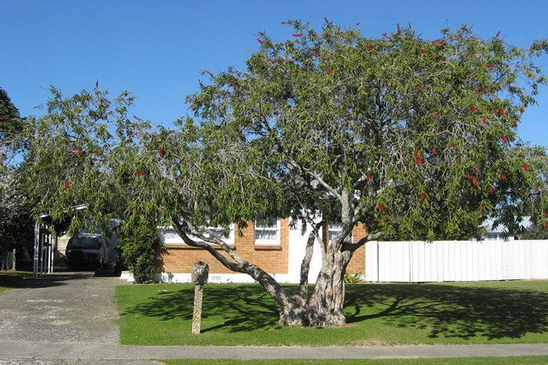 Photo of property in 18 Paterson Place, Whakatane, 3120
