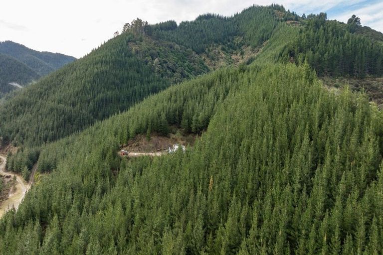 Photo of property in 641 Aniseed Valley Road, Aniseed Valley, Richmond, 7081