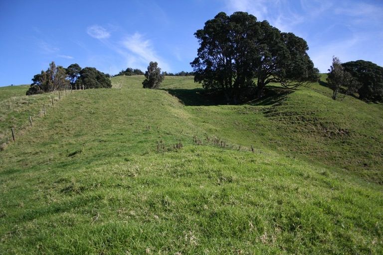 Photo of property in 341 Onemana Drive, Onemana, Whangamata, 3691