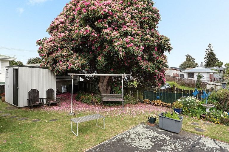 Photo of property in 22b King Street, Te Puke, 3119