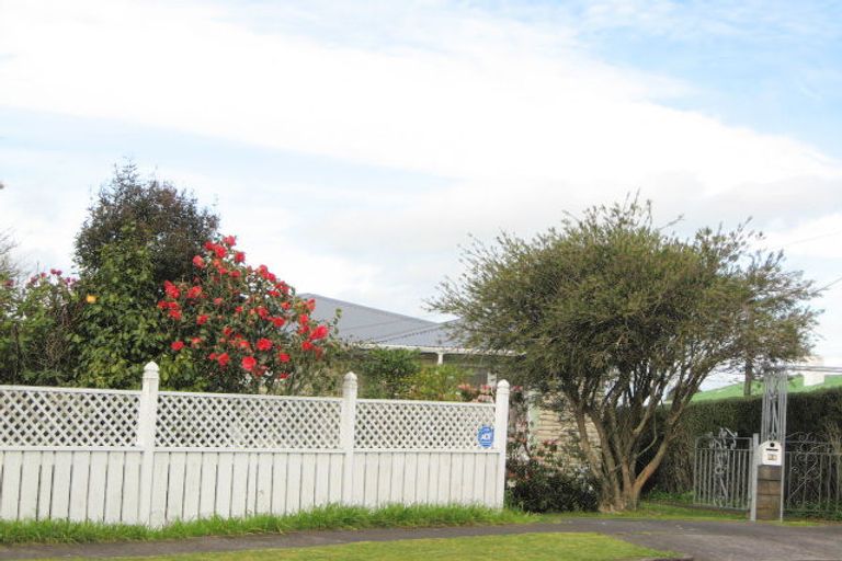 Photo of property in 24 Lysander Street, Stratford, 4332