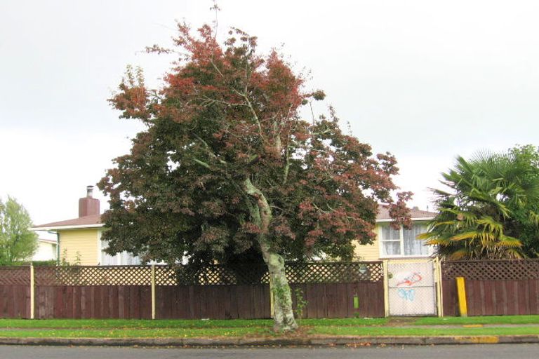 Photo of property in 122 Papanui Street, Tokoroa, 3420