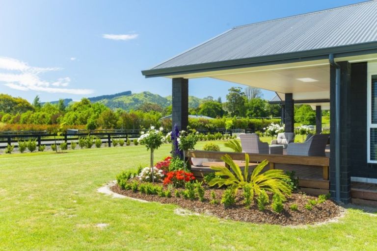 Photo of property in 638 Back Ormond Road, Makauri, Gisborne, 4071