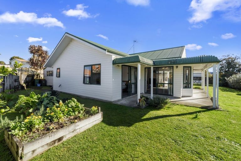 Photo of property in 160 Boucher Avenue, Te Puke, 3119