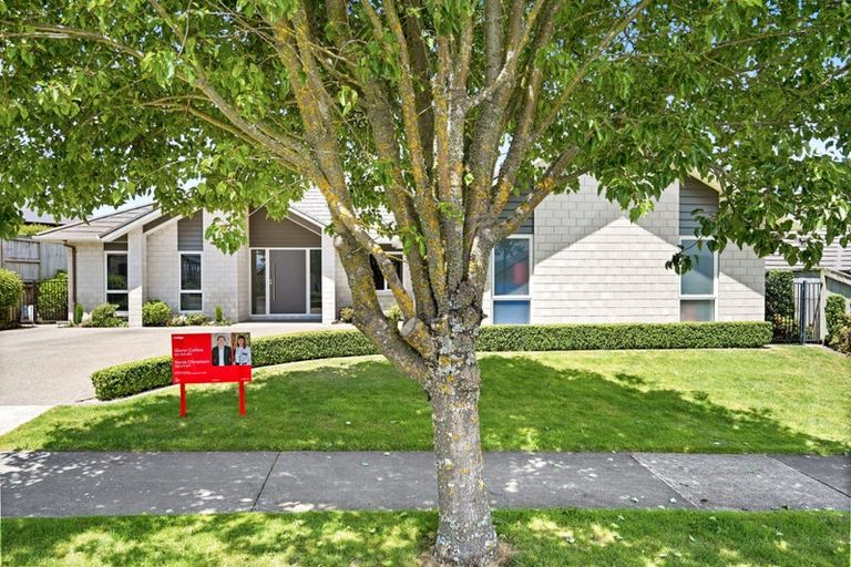 Photo of property in 16 Longbow Terrace, Flagstaff, Hamilton, 3210