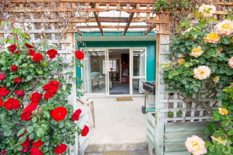 Photo of property in 23 Campbell Street, Alexandra, 9320