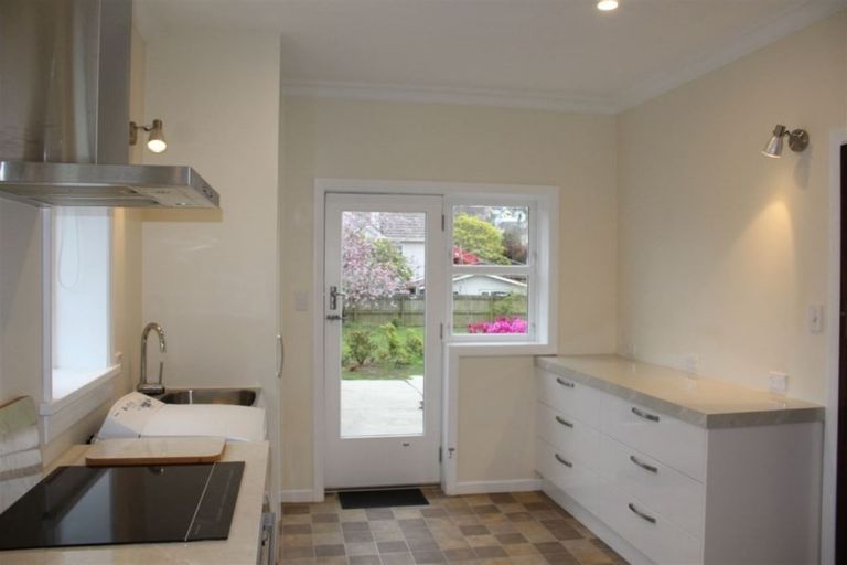 Photo of property in 12 Wallace Street, Roslyn, Dunedin, 9010