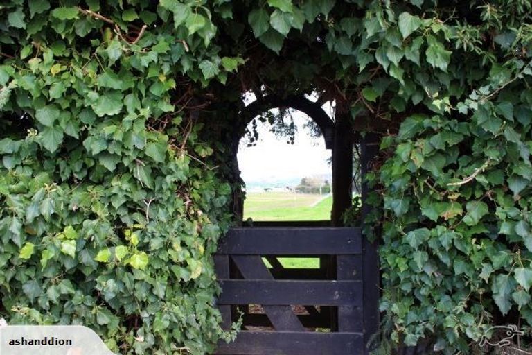 Photo of property in 762 Mangaorongo Road, Otorohanga, 3972