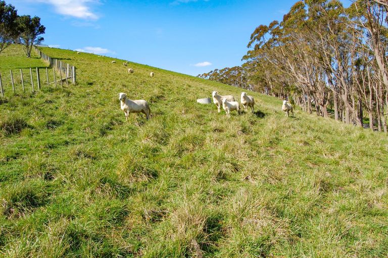 Photo of property in 598a Oneriri Road, Kaiwaka, 0573