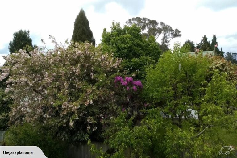 Photo of property in 15 Black Road, Paengaroa, Te Puke, 3189