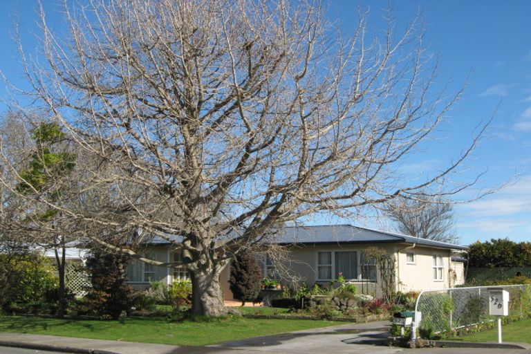 Photo of property in 524 Hart Drive, Frimley, Hastings, 4120