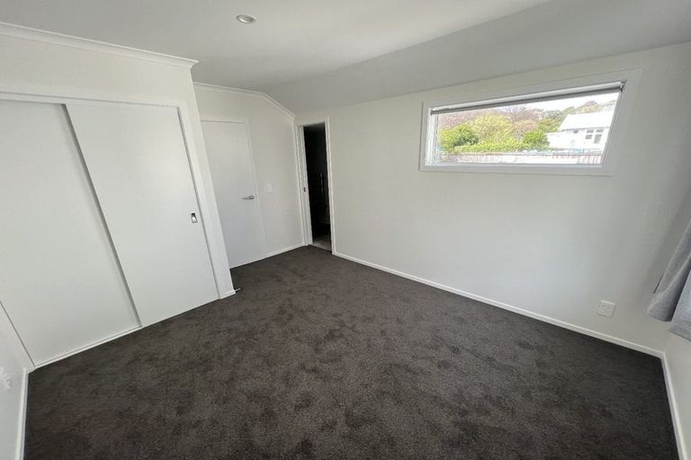 Photo of property in 101 Daniell Street, Newtown, Wellington, 6021